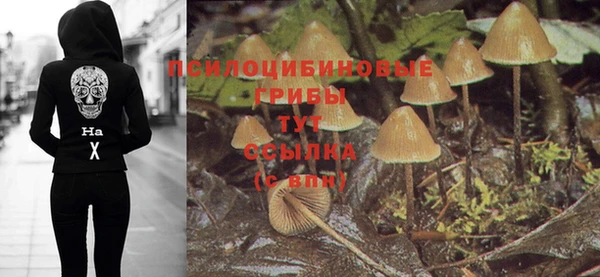 героин Абаза