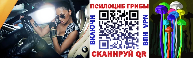 Псилоцибиновые грибы Magic Shrooms  закладка  Лабинск 